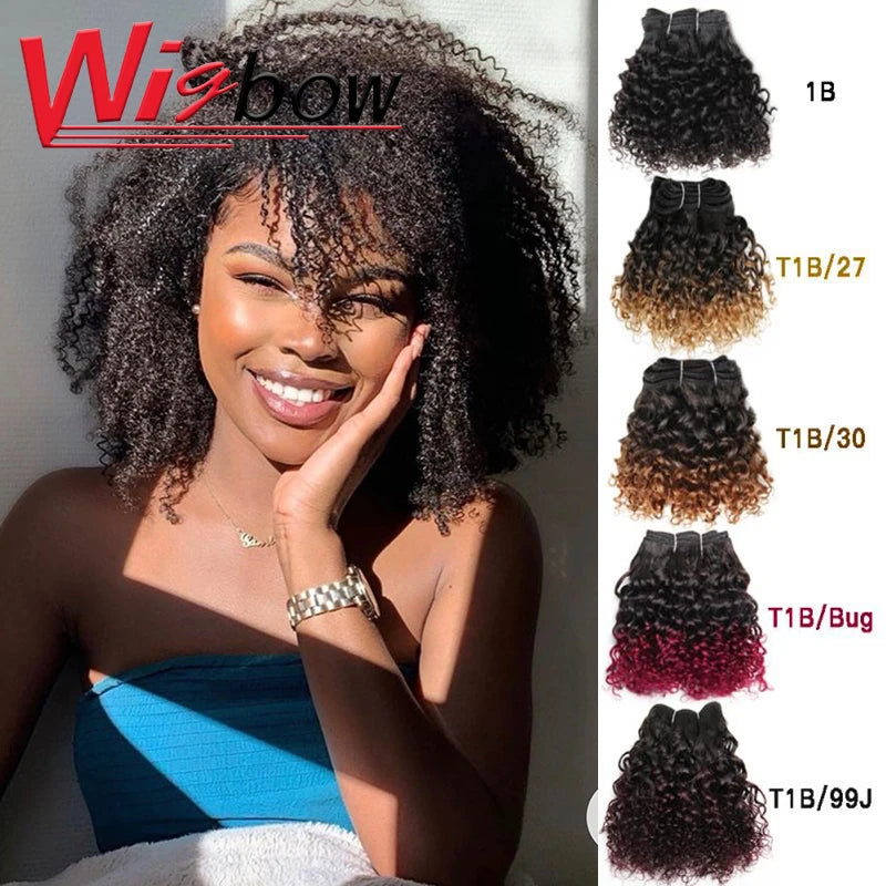 Brazilian Kinky Curly Bundles With Closure Ombre Curly Human Hair Bundles Colored T1b 30 27 Human Hair Bundles With 4*4 Lace